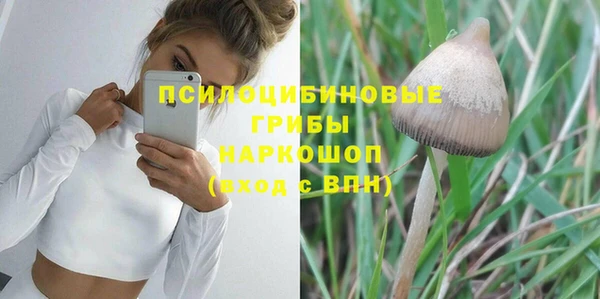 меф Белокуриха