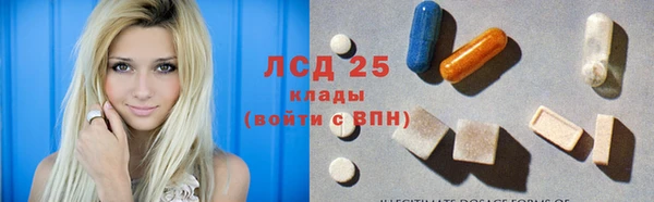ПСИЛОЦИБИНОВЫЕ ГРИБЫ Белоозёрский