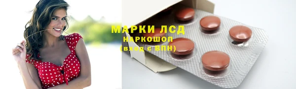 крисы Беломорск